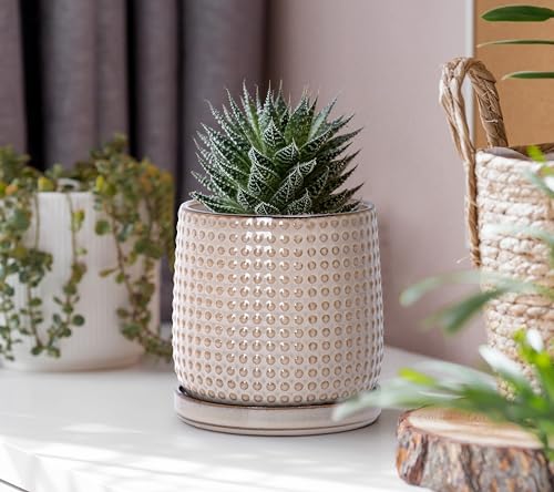 D'vine Dev 4 Inch Ceramic Beaded Stoneware Planter Pot - Flower Pot with Drainage Holes and Saucers for Indoor Succulent Plants or Flowers, Light Brown, 27-C-Z-4 - color: Light Brown, size: 4.3 Inch