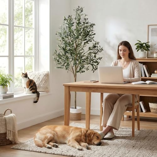 6ft Dense Leaves Artificial Olive Tree with Woven Basket - Realistic Faux Olive Tree for Living Room, Office & Home Decor - Large&Tall Indoor Floor Plant，Aesthetic Silk Plants