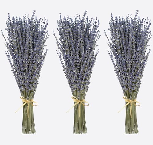 Dried Lavender 3 Bunches 100% Fresh Natural Purple Bouquet Flowers for Bathroom Photo Props Crafts Decoration, 15-17" for Shower Weeding Vase Decor, Aromatherapy Home Fragrance(300-330 Stems Total) - size: 3 Bunches Lavender