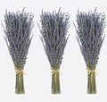 Dried Lavender 3 Bunches 100% Fresh Natural Purple Bouquet Flowers for Bathroom Photo Props Crafts Decoration, 15-17" for Shower Weeding Vase Decor, Aromatherapy Home Fragrance(300-330 Stems Total) - size: 3 Bunches Lavender
