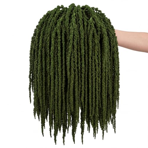 Suncalla 12 Pcs Natural Dried Amaranthus Hanging Flowers 23 Inch Amaranthus Artificial Flowers for Wedding Arch Bouquet Floral Garland Wall Home Decoration - color: Apple Gree