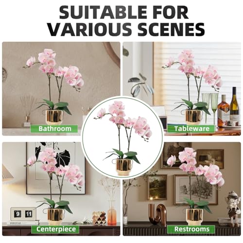 CXGS Orchids Artificial Flowers Real Touch Fake Flowers in Ceramic Pot 20" Pink Faux Orchid Plant Lifelike Silk Phalaenopsis for Centerpiece Hotel Home Indoor Decor - color: Pink- Gold Vase