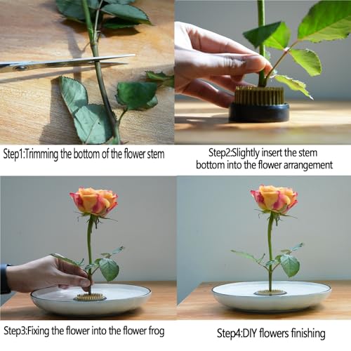 Generic Flower Frogs Steel Needle Floral Frogs for Arrangements Vase Frog Reusable Floral Arranging Tool Home DIY Craft（2.4inch）, Copper - size: 2.4inch