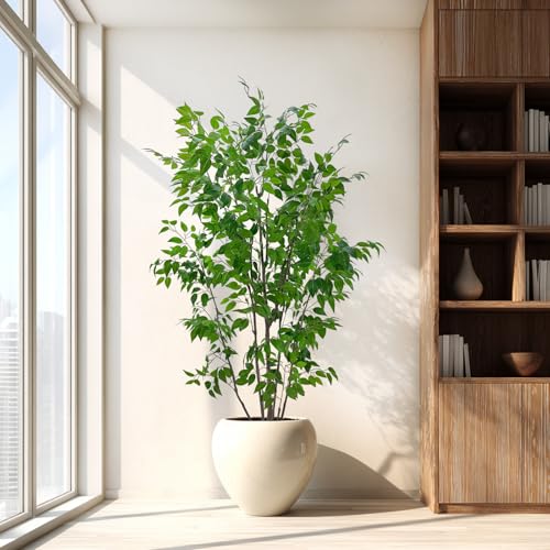 7ft Artificial Ficus Tree with White Plastic Planter | Collapsible trunk structure enables quick assembly and compact space-saving storage - color: Green, size: 7ft