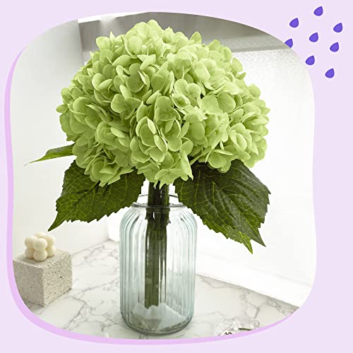 Yatim 21In Bottle Green Artificial Hydrangea Flowers 5 Pcs Real Touch 3D Print Latex Flowers for Wedding Centerpieces Bouquets DIY Floral Decor Home Decoration with Stems - color: Bottle Green