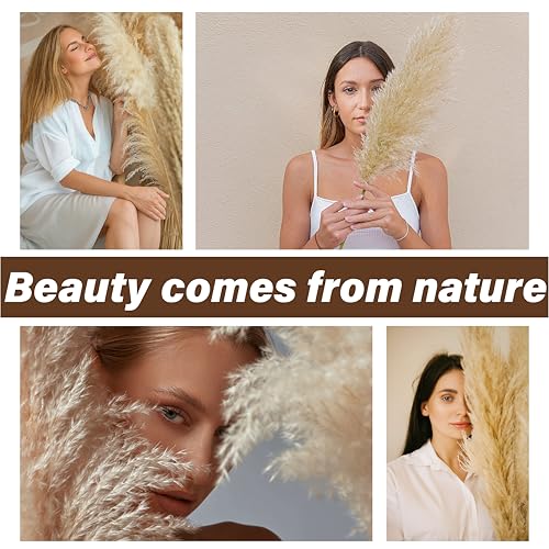 40 PCS Tall Pampas Grass for Floor Vase – 17" Natural Fluffy Dried Pampas Grass Stems, Large 20 White & 20 Brown Pоmpas Grass, Boho Pampas for Wedding, Home Decor, Halloween, Christmas