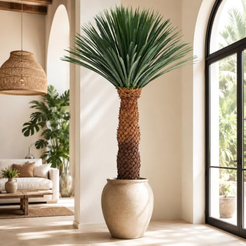 6FT Artificial Agave Plant in Black Pot Tall Faux Agave Floor Plant with Removable White Coating, Fake Yucca Look Plant for Indoor Outdoor Front Porch Patio Home Office Hotel Desert Style Decor - color: Agave Plant 71in