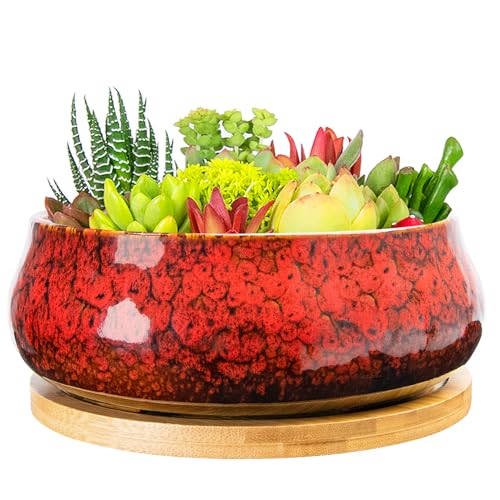 ARTKETTY Succulent Pots - 8 Inch Plant Pot, Large Bonsai Pots with Drainage Tray, Ceramic Planters for Indoor Outdoor Plants, Round Shallow Cactus Flower Plant Container Bowl Decorative Home Garden - color: Red