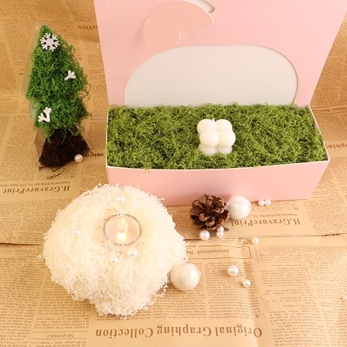 Light Green Moss for Crafts、 Artificial Moss Decorative for Glass Vase Filler Wedding/Christmas/Fairy Party/Indoor Planters/DIY Rainforest Model/Table Centerpieces (2.1 OZ) - color: Light Green