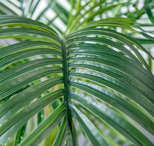HAIHONG 6FT 2Packs Artificial Palm Tree,Faux Areca Palm Plant with Real Touch Leaves and Adjustable Branches,Fake Tropical Palm Tree for Home Office Indoor Outdoor Modern Decoration - color: Areca Palm Plant, size: 3ft