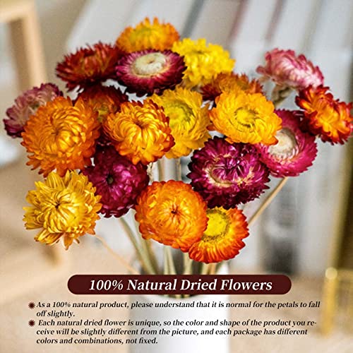 Dried Flowers Natural Daisy Mums Flower - 20 Stems Multicolor Daisies Artificial Sunflowers, Dry Fall Orange Flowers Bouquets for Vase, Wedding Home Farmhouse Decor, DIY Table Centerpiece Decoration