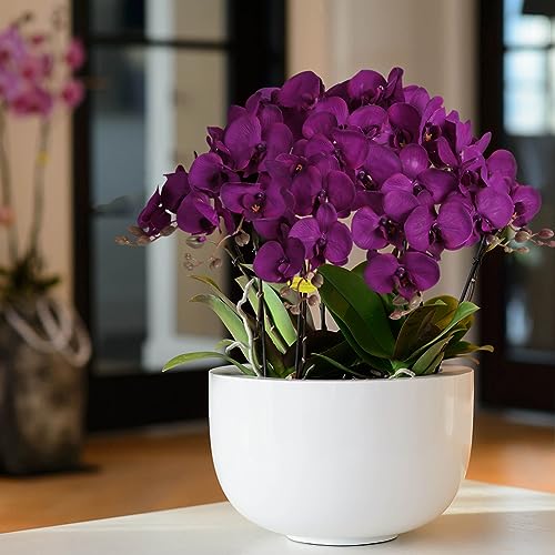 38 Inch Purple Flowers Faux Orchid 6 PCS Orchids Artificial Flowers Velvet Flowers Long Stem Artificial Flowers for Tall Vase for Home Wedding Decoration(Dark Purple) - color: Dark Purple