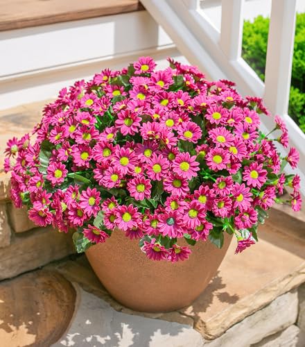 Daisy Artificial Flowers for Outdoors Decoration, 6 Bundles Fake Plants Flowers Bouquet Faux Flowers for Outdoor Planter Look Real UV Resistant Silk Flowers for Outside Garden Porch Patio, Dark Red - color: Dark Red