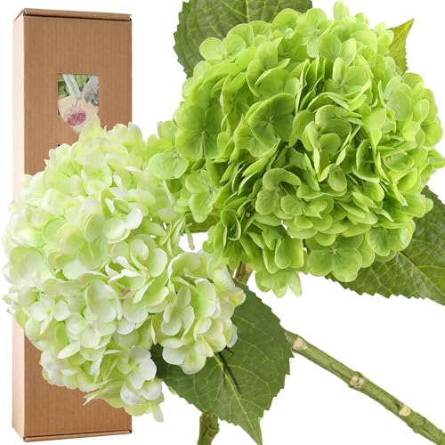 FiveSeasonStuff Real Touch Silk Hydrangea Flowers, 2 Large Long Stem Artificial Flowers for Floral Arrangements (Mixed Spring Green & Paris Green) - color: Mixed Spring Green + Paris Green