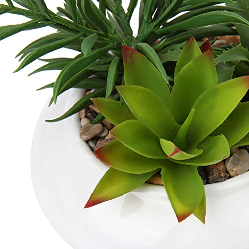 Hollyone Large Artificial Succulents Plants Faux Succulents in Pots Fake Succulent Plastic Potted Plants with White Ceramic Pot for Home Decor Office Desk Bathroom Shelf Living Room Decoration - color: 1pack - White Ceramic