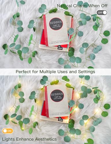 suddus Fake Vines with Lights Battery Operated, 20 LED 6.56FT Eucalyptus Garland Fairy Lights with Timer, Leaf String Lights for Bedroom,Room,Window,Wall,Party,Garden,Wedding Indoor Decor (Warm White) - color: Eucalyptus, size: 20 LED-Copper Wire Battery-