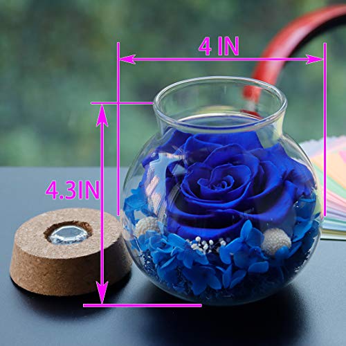Preserved Real Roses with Colorful Mood Light Wishing Bottle, Eternal Rose，Never Withered Flowers, Table Decor,Christmas Anniversary Valentine's, Blue 4.3inch, 1pcs - color: Blue