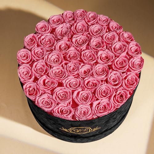 Prifroti 47 Roses in a Luxury Suede Box, Preserved Flowers for Women, Mothers Day Flowers for Mom, Light Pink - color: Light Pink, size: 47 Roses