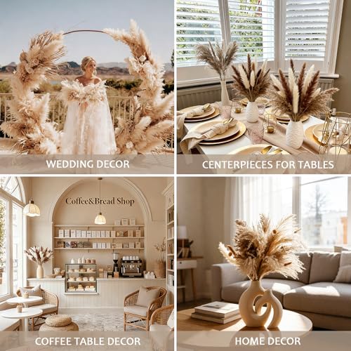 220 Stems Dried Pampas Grass Decor-White Pampas Grass,Brown Pampas,Bunny Tails Grass,Fluffy Pompas.Rustic Flower Bouquets for Wedding, Home Decor,Table Centerpiece,Apartment and Boho Decor - size: 220 Pcs