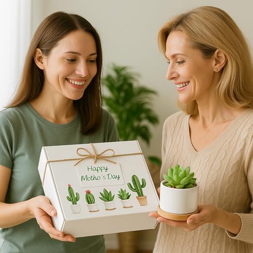 ZOUTOG Succulent Pots 3.1 Inch,6 Pack Succulent Planters,Small Pots for Plants with Drainage and Tray,White Ceramic Flower Planters for Indoor Plants,Home,Office,Desk - size: 6 Pack