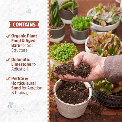 Back to the Roots 100% Organic Succulent & Cacti Mix (Value 12 Quart) | Made in the USA - size: 12 Quart, style: Suculent & Catcti Blend