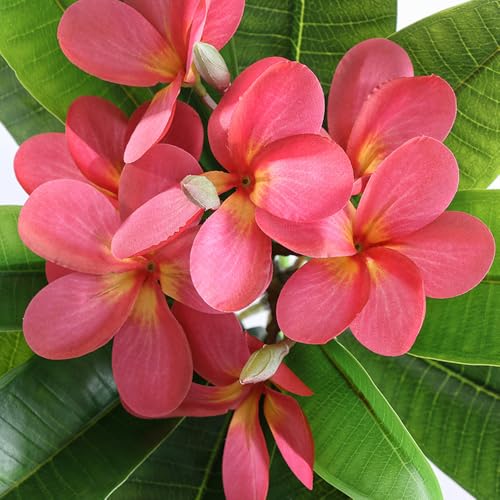 XIYUAN 35.5 Inch Artificial Flowers Artificial Frangipani Flower 2 Stems Lifelike Real Touch Artificial Plumeria Flowers for Home Party Wedding Bouquet Home Decoration (Red) - color: Red