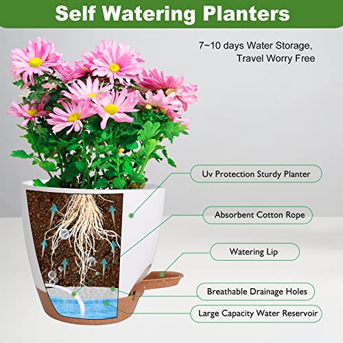 Vanslogreen Plant Pots for Indoor Plants 5 Pack Self Watering Planters, 7/6.5/6/5.5/5 Inch Self Watering Pots with Drainage Hole Plastic Flower Pot for Herbs, Succulents, African Violet (White) - color: White-5pack, size: 7/6.5/6/5.5/5 inch