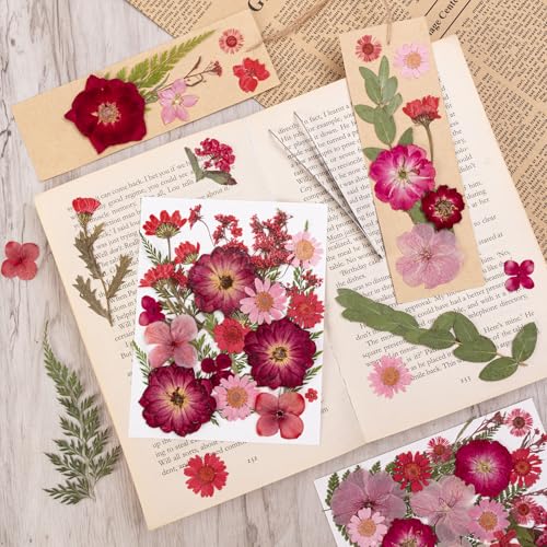 101 PCS Red Dried Pressed Flowers for Christmas Crafts Resin, Red Real Nature Flowers Bulk for DIY Holiday Cake Card Scrapbook Supplies, Large Dried Flowers for Soap Candle Making - size: Red