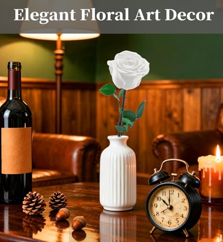 Preserved Flowers for Delivery,White Rose Bouquets That Last 5 Years,Birthday Flowers Gifts for Women Mom Grandma Wife Friends,Mothers Day Roses Gift,Romantic Floral for Anniversary or Valentine’s Day - color: White, size: Single Rose