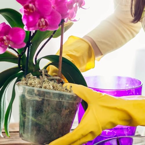 Halatool 10OZ Orchid Moss Sphagnum for repotting, 14QT Dried Sphagnum Moss for Plants Indoor, Maintain Air Humidity and Improve Soil Acidity, Natural Media for Orchid Plant Growth - size: 14 qt (0.6 lbs)