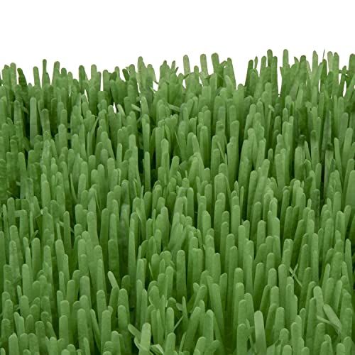 Instincts by SmartyKat 2-Pack Meadow Mayhem Hide & Seek Paper Grass Rustle Cat Mat Toy - Green, 2-Pack