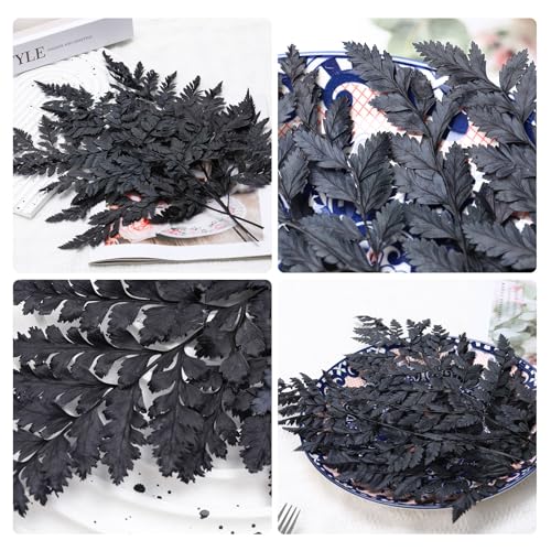 Fern Preserved Black Ferns, 10 PCS Dried Boston Fern with Stems, 15'' Real Leaves for Dried Flowers Arrangements Wedding Garland Bouquets Home Party Centerpiece Table Decorations Vase Filler