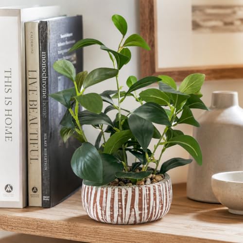 Artificial Potted Plants Life-Like Fake Plant with Farmhouse-Style Cement Planter Feturing Light Wood Tone for Room Bathroom Bedroom Kitchen Office Dese Coffee Table Décor (12.8inch) - size: Ficus 12.8inch
