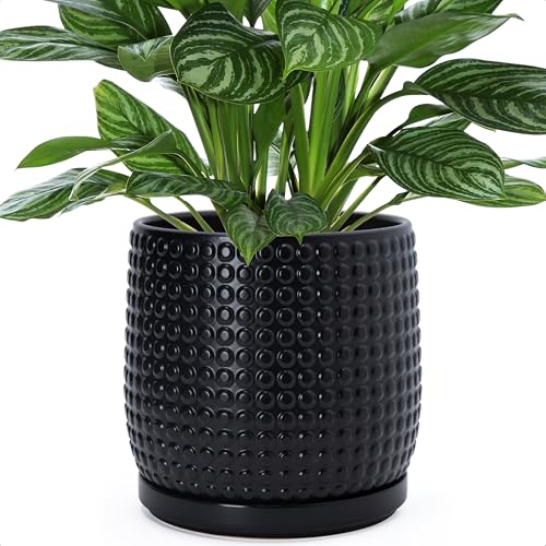 D'vine Dev 8 Inch Ceramic Beaded Stoneware Planter Pot - Flower Pot with Drainage Holes and Saucers for Indoor Succulent Plants or Flowers, Ebony Matte, 27-C-Q-6 - color: Ebony Matte, size: 8.8 Inch