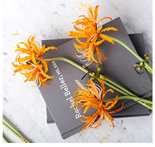6 Stems 26.38 Inch Artificial Lycoris Radiata Spider Lily Flowers for Home Garden Decoration (Orange) - color: Orange