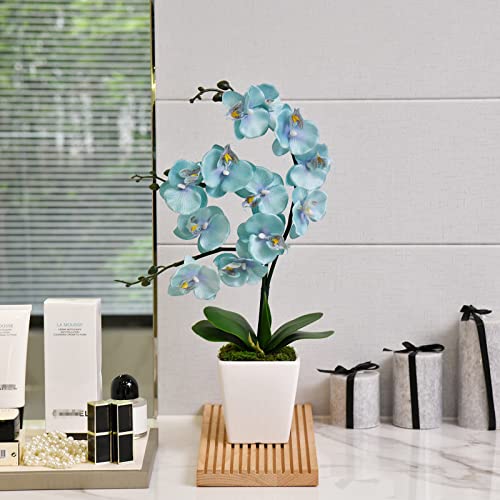 15 Inches Tall Artificial Silk Phalaenopsis Orchid Flower Plant Pot Teal Arrangements (Golden Blue) - color: Golden Blue