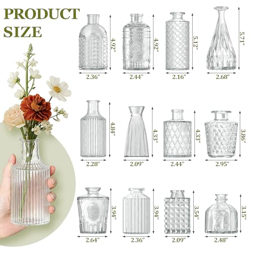 12 Pcs Clear Bud Vases Set, Small Vintage Glass Clear Bud Flower Vases Bulk Multiple Shape Cute Mini Glass Bottles Vases for Rustic Wedding Centerpieces Table Decorations and Home Decor - color: Clear