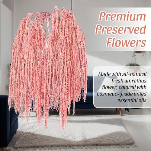 Suncalla 12 Pcs Pink Spring Natural Dried Amaranthus Hanging Flowers Amaranthus Artificial Flowers for Wedding Arch Bouquet Floral Garland Wall Home Decoration (23 Inch) - color: Pink