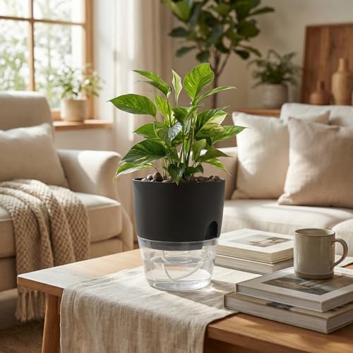 Vanavazon 6 Inch Self Watering Planter Pots for Indoor Plants, 3 Pack African Violet Pots with Wick Rope-Black - color: Black