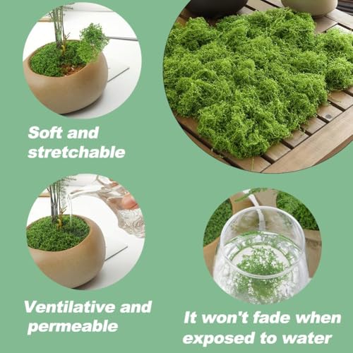 Fake Moss for Plants Indoor, 7OZ Value Pack - Artificial Grass for Crafts, Floral Arrangements & Potted Plants, Natural Moss Alternative for Terrariums (Dark Green+Light Green)