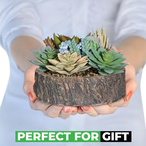 Premium Assorted Artificial Succulent Collection - Large Real Touch Artificial Cactus, Aloe Vera & Succulent Plants Artificial with Pots for Home Office Indoor (Artificial Tree Stump - Pot) - color: Artificial Tree Stump - Pot