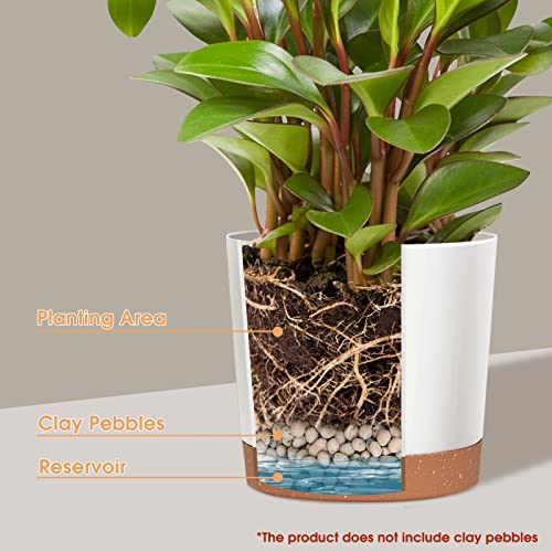 kubvici Plant Pots for Indoor Plants, 2 Pack 10 Inch Plant Pot Plastic Flower Pots Planters with Drainage Saucer for Indoor Outdoor Garden Home (10" White) - color: White, size: 10 inch