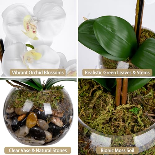 White Orchids Artificial Flowers 16.5" Faux Orchids Plant in Pot Fake Flower Arrangements with Glass Vases White Centerpieces for Kitchen Dining Room Tables Bathroom Nightstand Shelf Desk Decor - color: White Orchid & Brown Stones