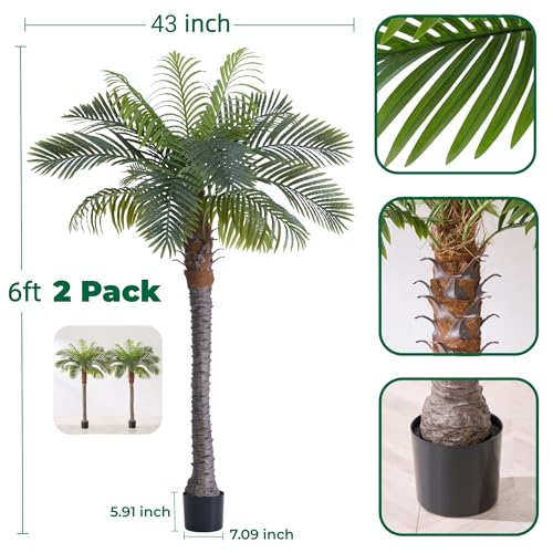 6FT Artificial Coconut Palm Tree Set of 2, UV Resistant Faux Sago Palm Plants for Indoor Outdoor, Realistic Large Tropical Decor for Home Office Patio Poolside Garden, Ready to Use in Cement Pot - color: 6ft - 2 Pack, size: 6ft