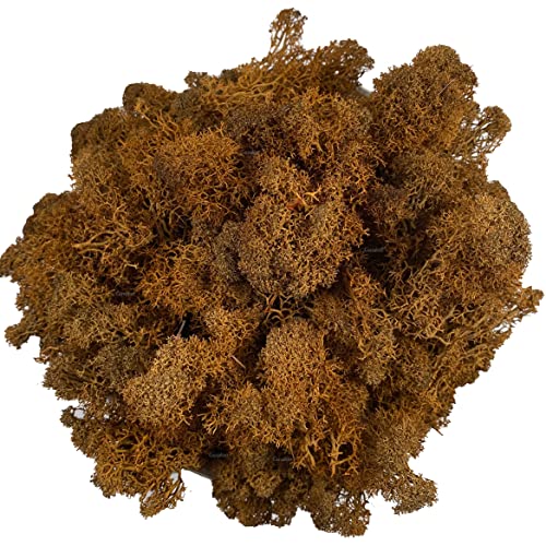 Moss Preserved Artificial Moss Natural Fresh Green Reindeer Moss for Craft Arts Floral Project Wall Decor Table Decor Wedding Centerpieces Garden Terrariums Decoration-Brown 3.5OZ - color: Brown, size: 3.5oz