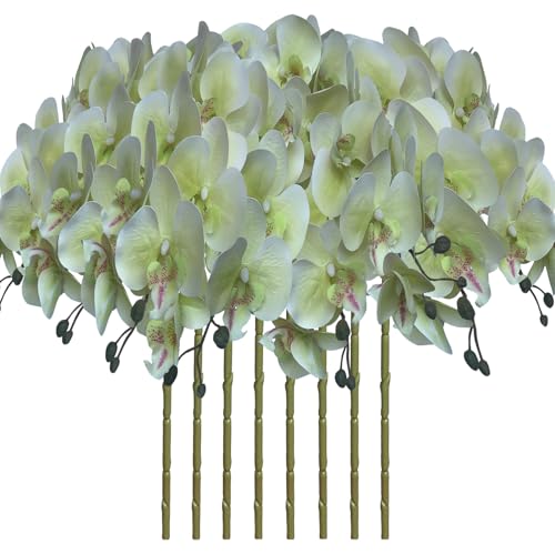 FagusHome 8 Pcs Artificial Phalaenopsis Flowers 32 Inch Artificial Orchid Flowers Fake Flowers Stem Plants for Home Décor (Light Green) - color: Light Green