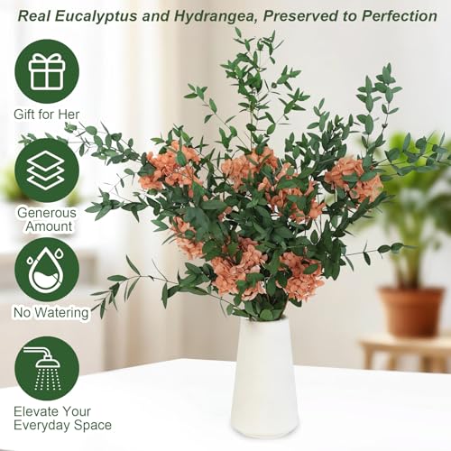 Hand-Tied Preserved Eucalyptus and Hydrangea Bouquet, 5-7 Stems Rustic Yellowish Brown and Green Natural Dried Flowers for Home Table Decor, Wedding Centerpiece, Fall Holiday Decorations