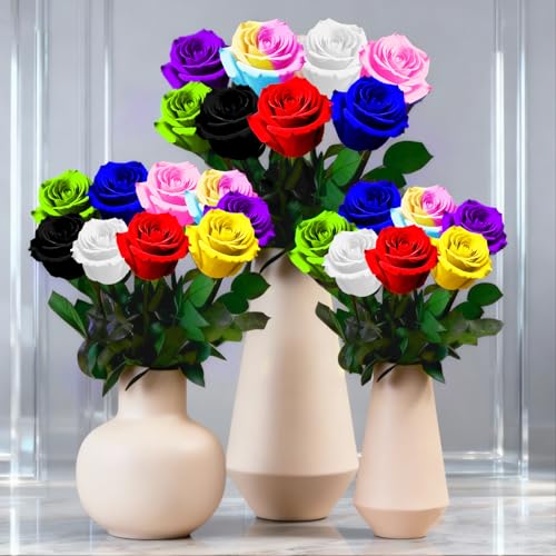 Light Blue Single Forever Roses Luxury Gift for Women/Men, Fresh Flowers Bouquet for Girlfriend, Wife, Mom, Anniversary, Valentine's Day, Wedding, Graduation, Christmas, Birthday - color: Light Blue