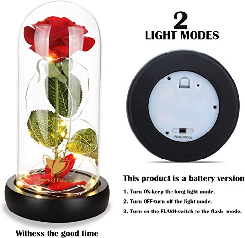 Beauty and The Beast Rose Set-The Best Holiday Surprise Gift for Mothers, Beautifully Decorated With Red Silk Roses, LED Lights, Dome Glass and Wooden Base - color: Black Base