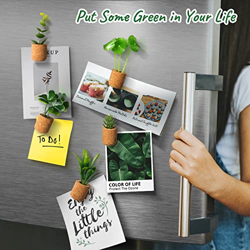 Joyibay Plant Fridge Magnets Mini Succulent Magnets Artificial Plants Refrigerator Magnets Potted Succulent Plants Magnet Stickers Cute for Magnet Boards Fridge Home Office Decor